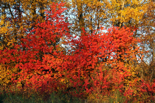 1262467 (a): :1920x1280